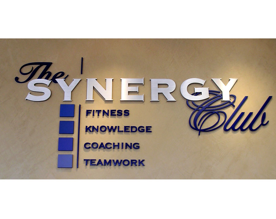 The Synergy Club