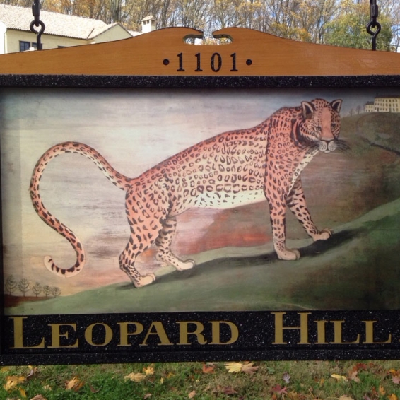 Leopard Hill Logo