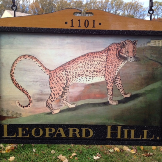 Leopard Hill closeup