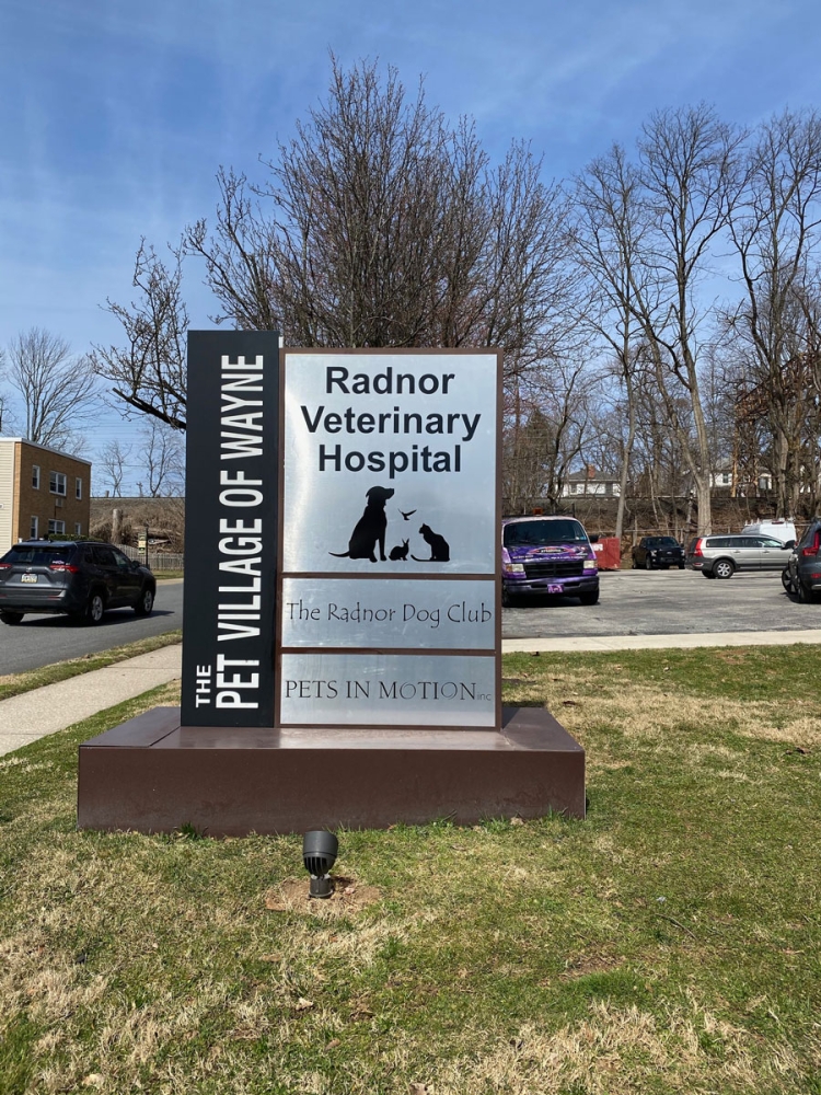 Radnor Vet Hospital