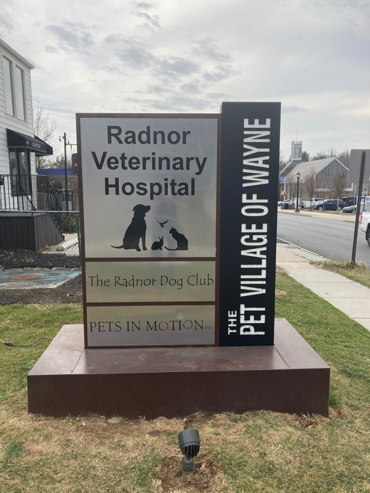 Radnor Vet