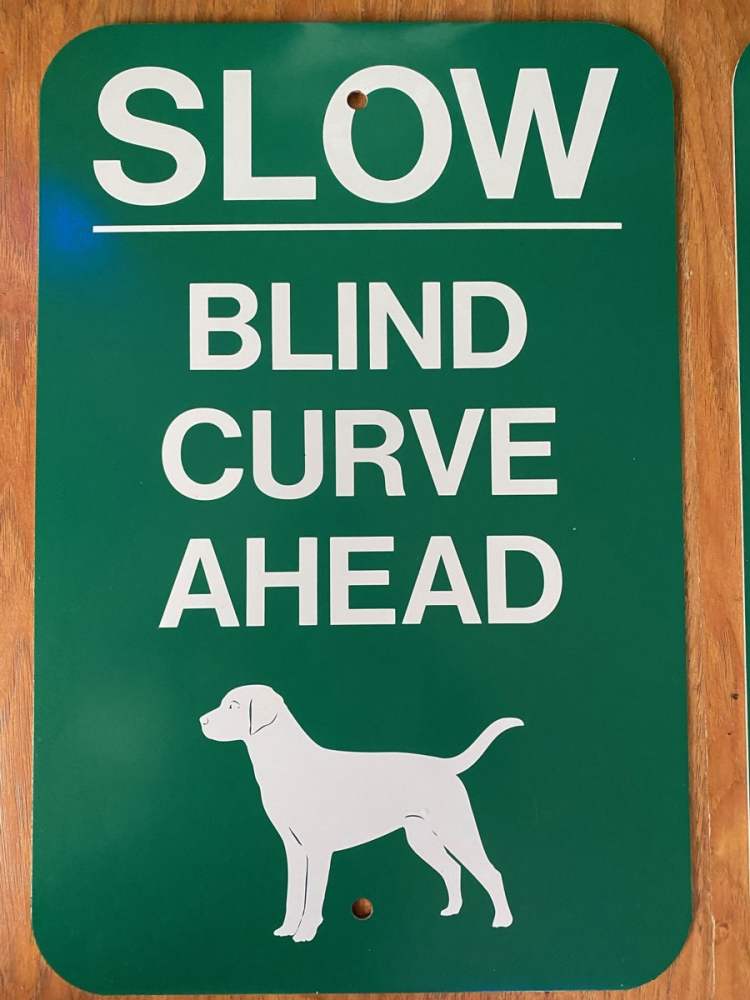 Slow Blind closeup