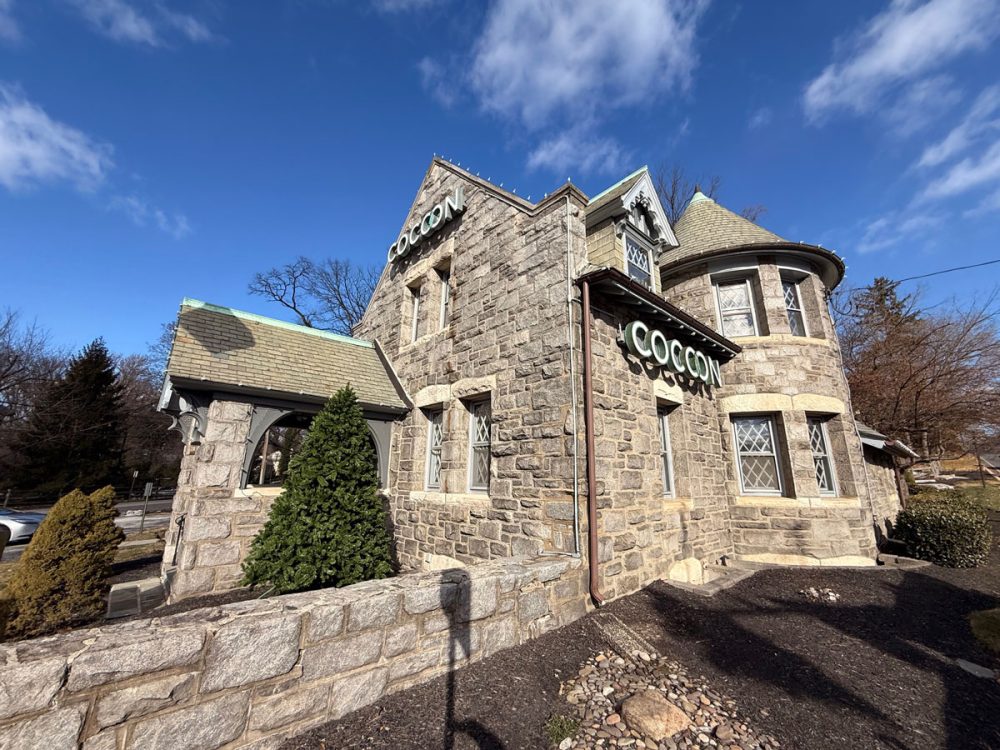 Cocoon Patina Channel Letters Front and Side Day