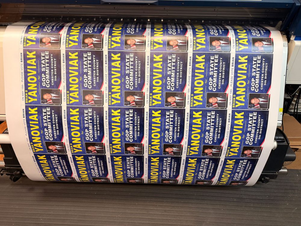 Yanoviak GOP State Committee
