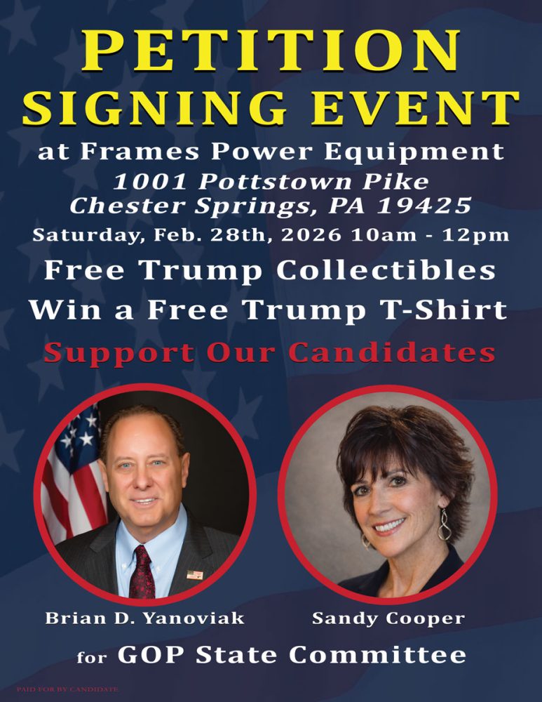 Yanoviak GOP State Committee Electronic Petition Flyer