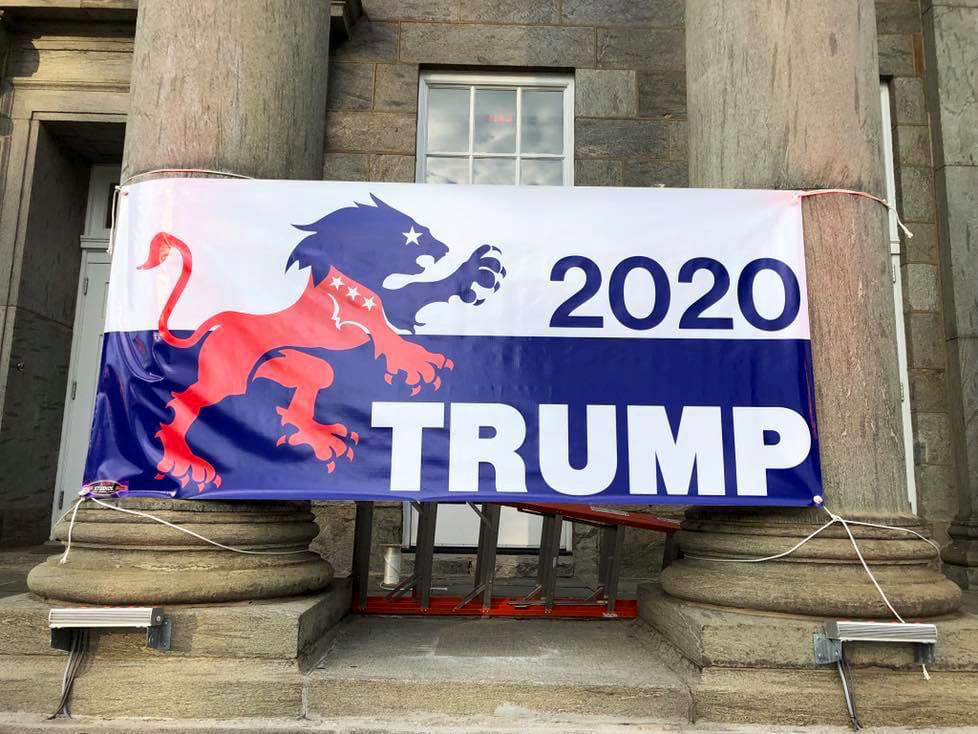 Trump 2020 Lion