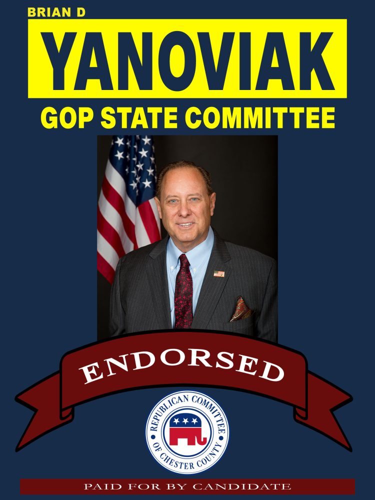 Yanoviak GOP State Committee Ad