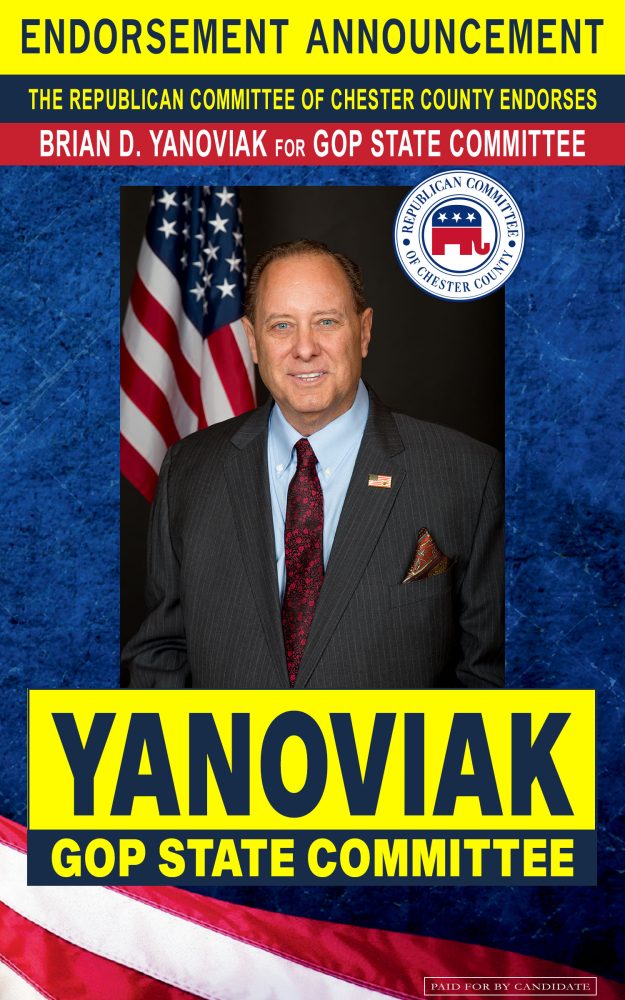 Yanoviak GOP State Committee Electronic Ad