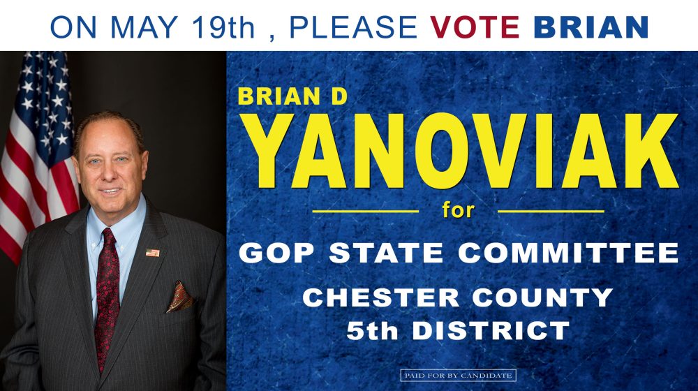 Yanoviak GOP State Committee Ad