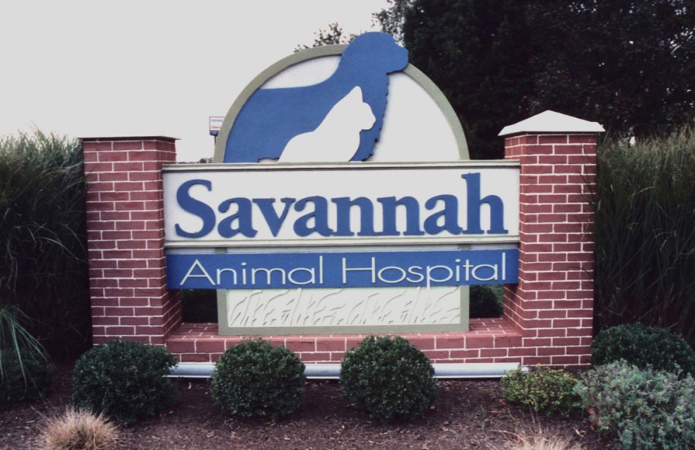 Savannah Vet