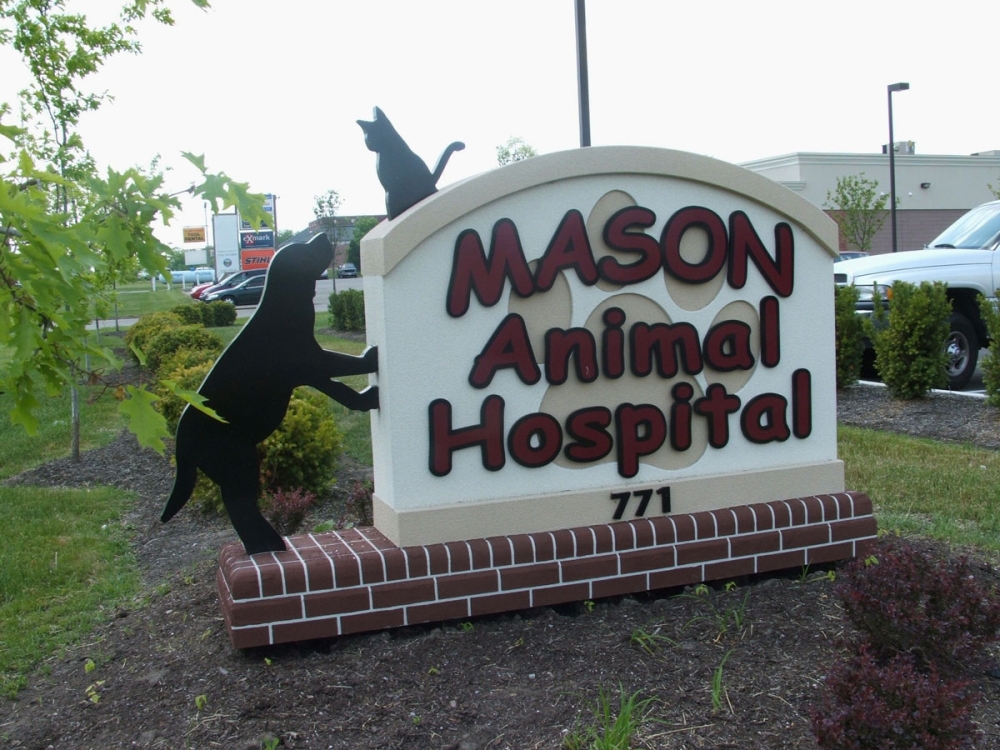 Mason Vet