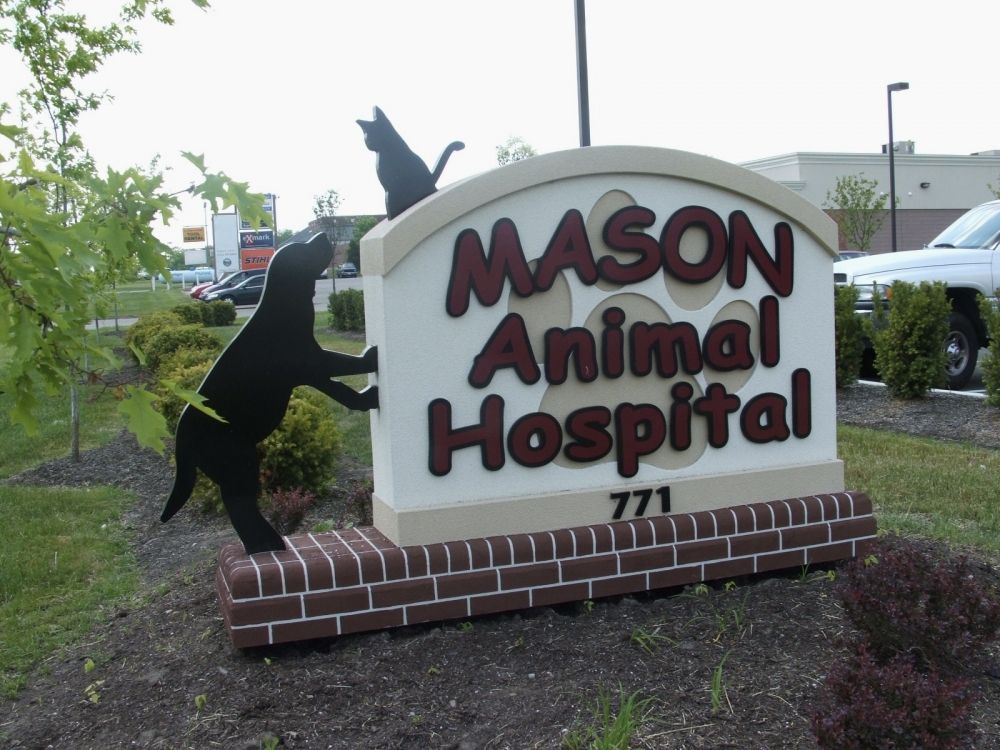 Mason Animal Hospital